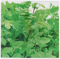 Napkins 33x33cm. Green 20pcs