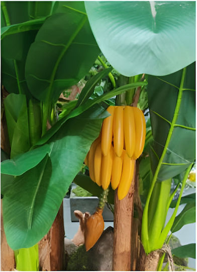 Planta Artificială Tropicală Musa 60cm Realiste Fructe Tropicale