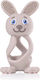 Brush Baby Teether Μασητικό Οδοντοφυΐας από Σιλικόνη