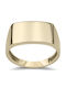 Chrilia Damen Ring aus Gold 9K