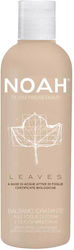 Noah for Beauty Detangling Cream Hydration for Thin Hair