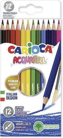 Carioca Acquarell Цветни Моливи Комплект 12 Цвята 12 Опаковки