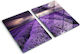 Glass Kitchen Board Protection Decoration Lavender Field 2x40x52 Cm