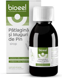 Sirop Muguri de Pin și Pătlagină 120 Ml Bioeel