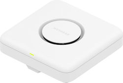 NetGear WBE718 Μονό Kit NetGear WBE718 Μονό Kit