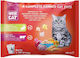 Wise Cat Wet Food for Adult Cats in Pouches with Rabbit, Beef, Meat, Chicken and Fish 4x100gr