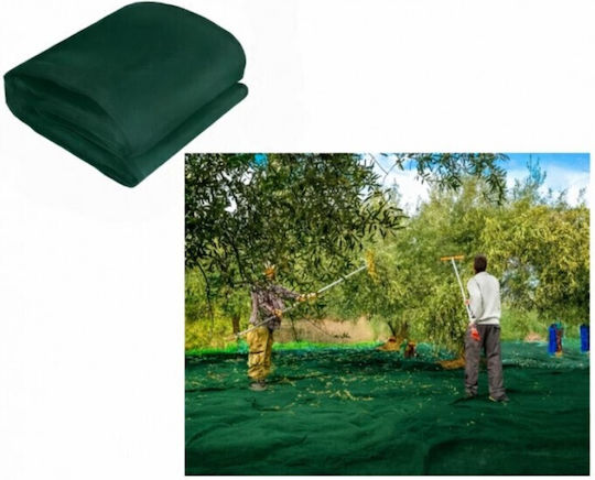 ForHome Olivennetz 4x6m Dichte 90gr/m²