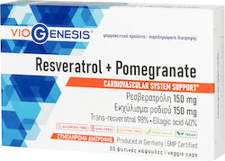 Viogenesis Ресвератрол + Pomegrante 150 mg 30 Капсули Viogenesis Ресвератрол + Pomegrante 150 mg 30 Капсули
