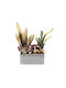 Succulent Plant Potted Beige 38 Cm Espiel