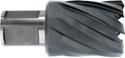 1037001 Hss-tialn Carrot Weldon Shank 3/4'' Length 30 Mm Dim 18.0 Mm 1037001 Hss-tialn Carrot Weldon Shank 3/4'' Length 30 Mm Dim 18.0 Mm