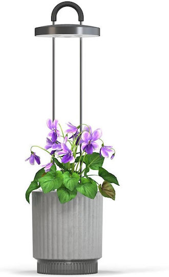 Click Grow Hydrovase Gray Home Kitchen Click Grow Hydrovase Gray Home Kitchen