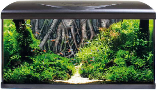 Zoomed Fisch-Aquarium mit Kapazität von 85Es mit Beleuchtung, Filter und 80x32x48cm Schwarz