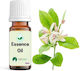 Sueño Aroma Αιθέριο Έλαιο Αγιόκλημα 12ml