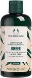 The Body Shop Ginger The Body Shop Ginger