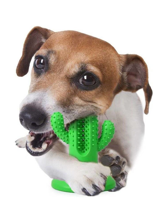 All For Paws Cactus Εκπαιδευτικό Παιχνίδι για Κουτάβι Large 16εκ. Πράσινο 1τμχ