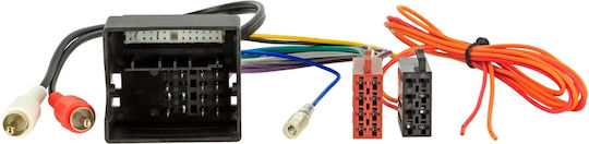 Acv Audi Ενεργοποίηση Half Bose Ενισχυτή Fakra 2channel D-13-1338-50-0