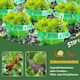 Anti-slug Rings 6 Pieces Ø 24 Cm Plant Protection Green