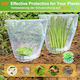 Set 25 Gulere 25 Plase Protecție Plante Împotriva Melcilor Insectelor