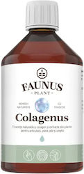 Colagenus Hydrolyzed Liquid Collagen Combined Aloe Vera Sea Buckthorn Faunus Plant 500ml Bottle