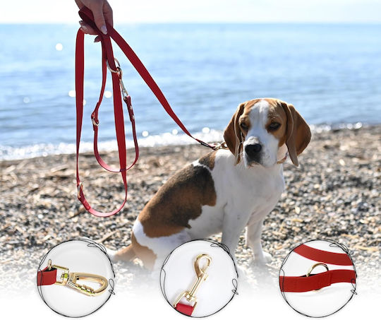 Dog Leash/Lead Training Strap in Red color 2m