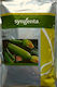 Syngenta Семена Тикваς Тиквичка Отто