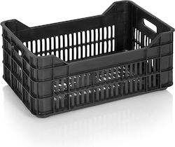 Enko Plastics Διακοσμητικό Κλουβί Κήπου 53x35x24εκ.