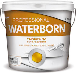 Pellachrom Plastic Hidrocolor 9lt