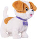 Plush Puppy