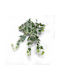 Dekorative Girlande Efeu 65cm Supergreens