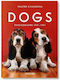 Pocket Walter Chandoha Dogs Photographs 1941–1991 9783754400258