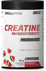 Skill Nutrition Micronized Creatine Monohydrate Skill Nutrition Micronized Creatine Monohydrate