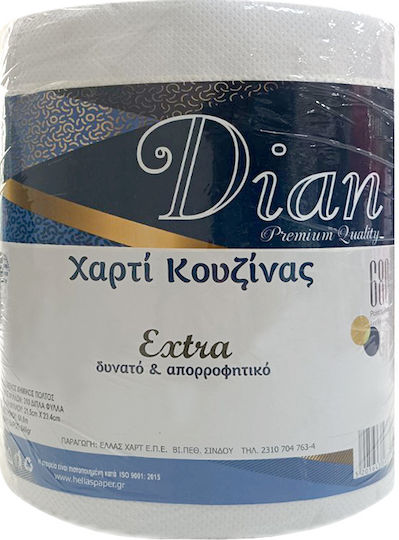 Dian Χαρτί Κουζίνας Ρολό (680gr/Ρολό)