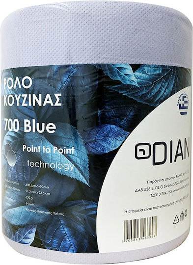 Dian Küchenpapier Rolle 2 Blätter (700gr/Rolle) 5205643563997