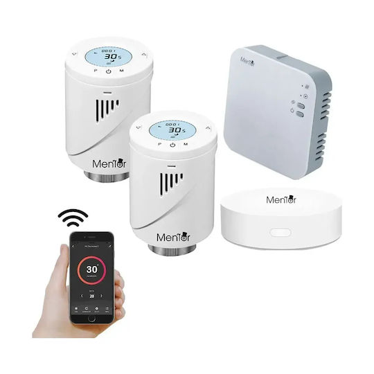 Electronică Valvă termostatică pentru radiatoare cu Wi-Fi pentru un site de comerț electronic pentru încălzirea corpului 2buc