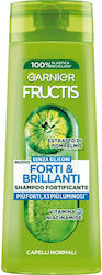 Garnier Fructis Shampoo Hydration And Mass Gaining 250ml