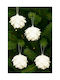 SteweHome Weihnachtsbaumschmuck Weißes Blume Baum–Weiße 6x6 cm