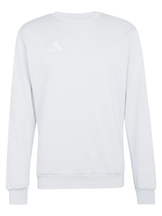 adidas Sweatshirt White