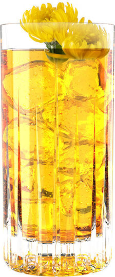 Ocean Traze Water Glass Set Made of Glass 11-R03665 6 Pieces