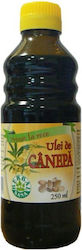 Herbavit Λάδι Κάνναβης 250ml Herbavit Λάδι Κάνναβης 250ml