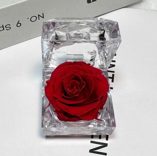 Αληθινό Διατηρημένο Τριαντάφυλλο Red Forever Rose Διάφανη Θήκη Κουτί 4.8x4.8cm