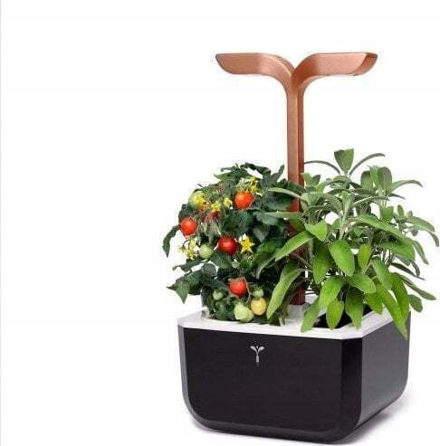 Blumentopf Black & Copper