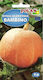 Platinet Seeds Pumpkinς Zucchini 5gr