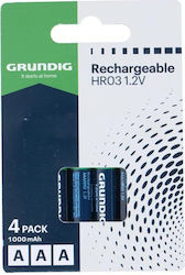 Grundig AAA 1000mAh 1.2V 4buc Grundig AAA 1000mAh 1.2V 4buc