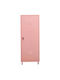 Single-leaf Metallic Gavanized Outdoor Storage Cabinet with Locking Capability 190x50x40 cm