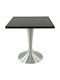 Masă Pătrată Bar Din Lemn Cu Ramă Din Aluminiu Wenge 70x70x74 cm