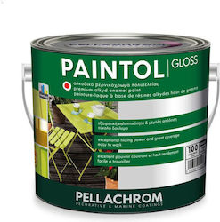 Pellachrom Βερνικόχρωμα Paintol 2.5lt Μαύρο Γυα...