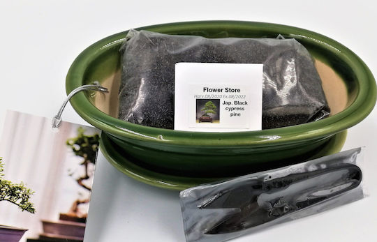 Plant Soil Bonsai Starter Gift Set – Japanese 0.2kg 87133497429