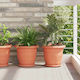 vidaXL Teller Topf Κεραμιδί - Κόκκινο 14x14cm 4...