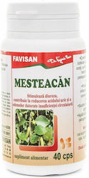 Mesteacăn 40 Capsule Favisan