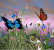 Norimpex 5d Diamond Mosaic Butterflies 40x30cm